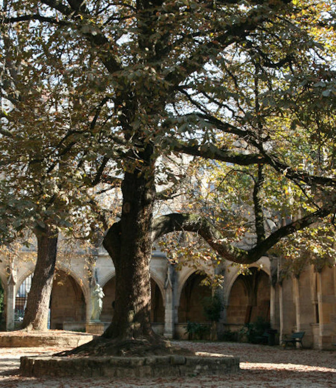 Livre: Visite du Paris médiéval (PDF) – Image 5